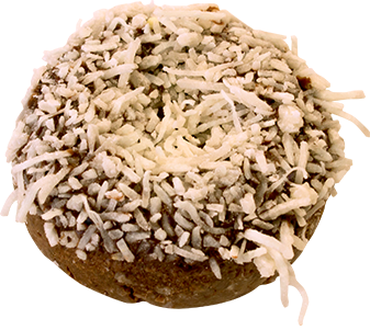 Chocolate Coconut Donut